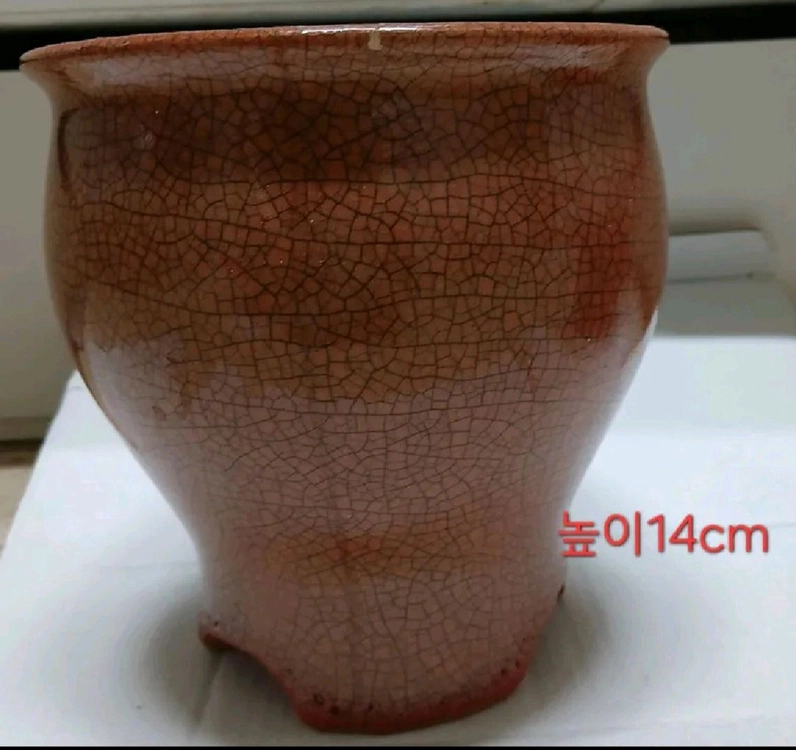 화분 일괄 이미지