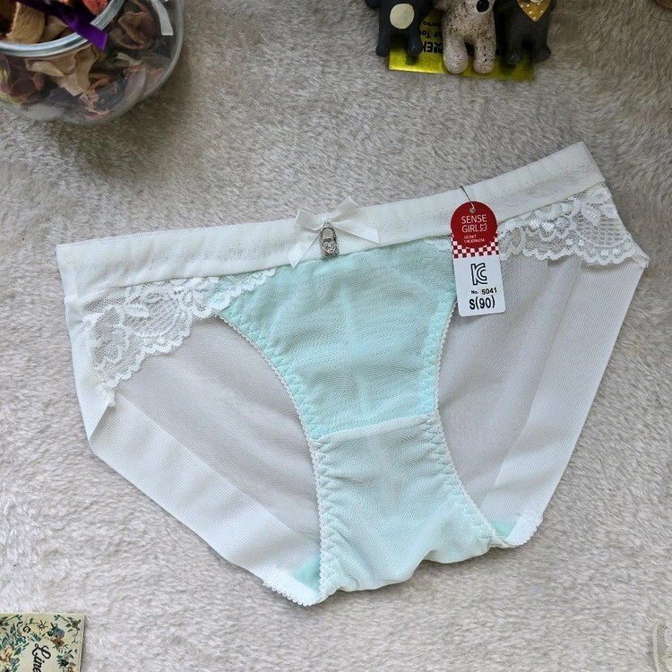 레이스팬티 S(90) 10종 세트 여성팬티 새상품 이미지