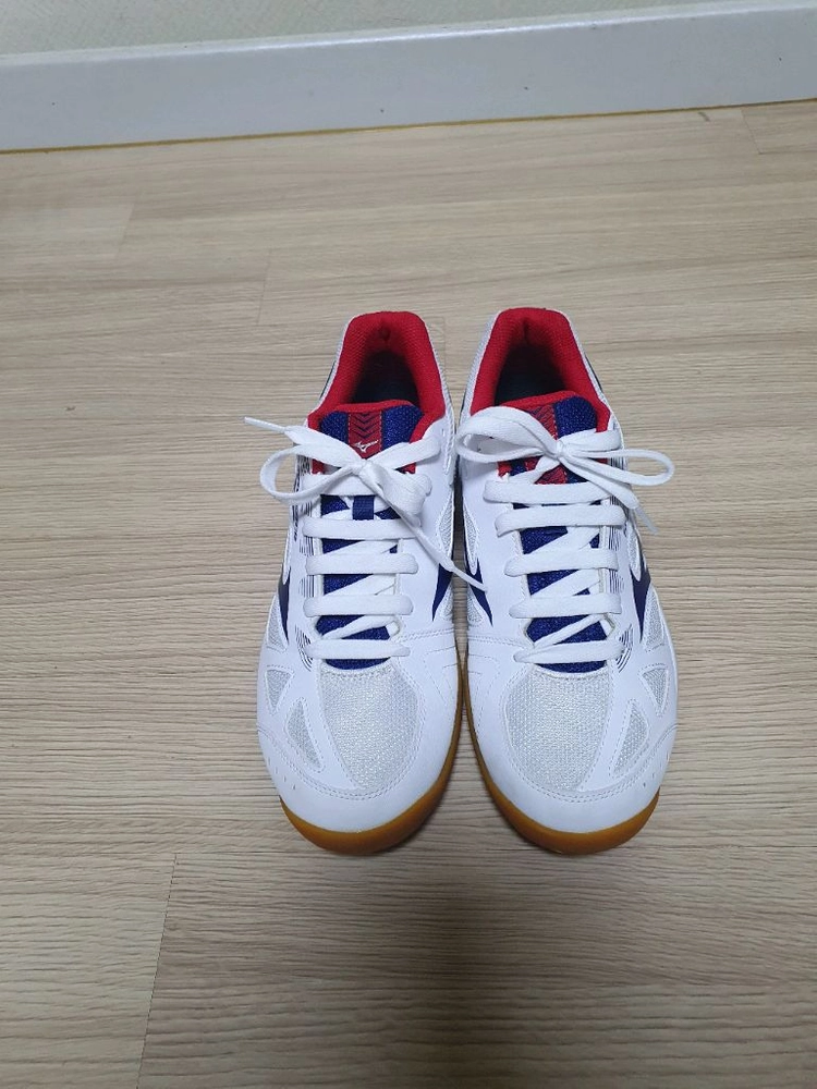 미즈노 스카이블라스터 배드민턴화 270 이미지