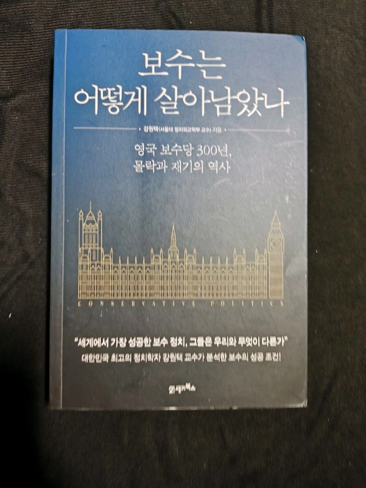 보수는 어떻게 살아남았나 김원택 지음 이미지