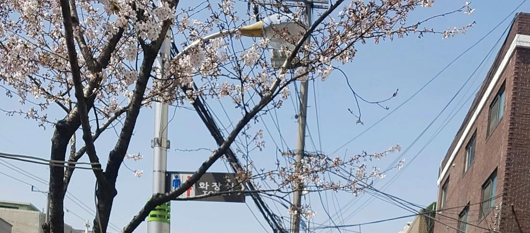 구합니다 야놀자 여기어때 10만 전후 70프로 구함 - 안심되는 중고거래