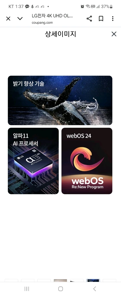 LG 65인치 OLED 최상위급 OLED65G4 ! 이미지