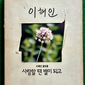 이해인_사랑할 땐 별이되고 이미지