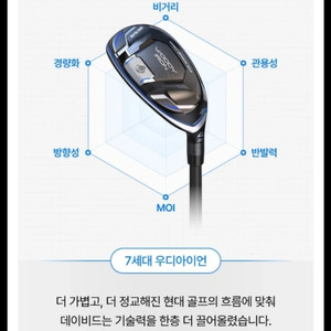 데이비드 우디아이언 5번 SR 플렉스 판매합니다. 이미지