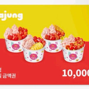 요아정 1만원권 잔액관리형 요거트아이스크림의정석 이미지