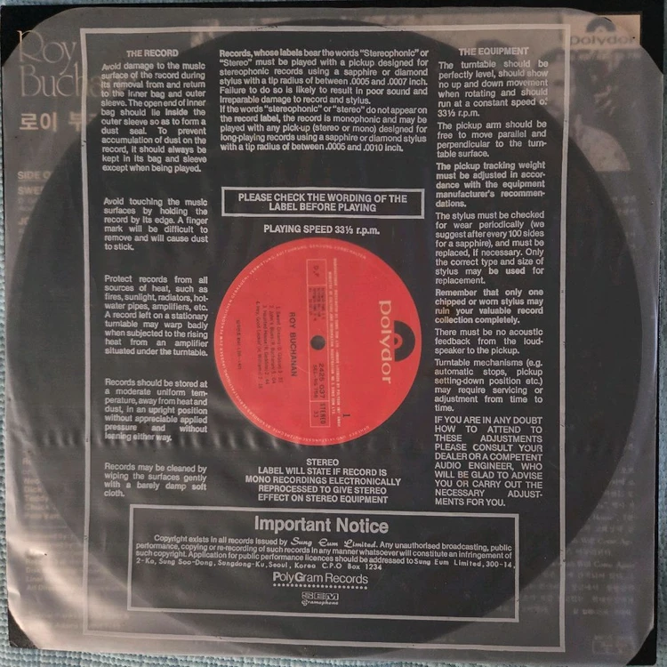 ROY BUCHANAN LP 이미지