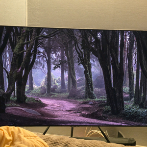 삼성 QLED 65인치 4K 스마트TV (KQ65QT95AFXKR) 판매 이미지