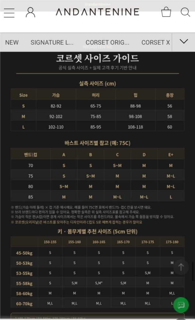 안단테나인 코르셋 원피스 수영복 (M) 이미지