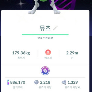 뮤츠 배경 로치 이미지