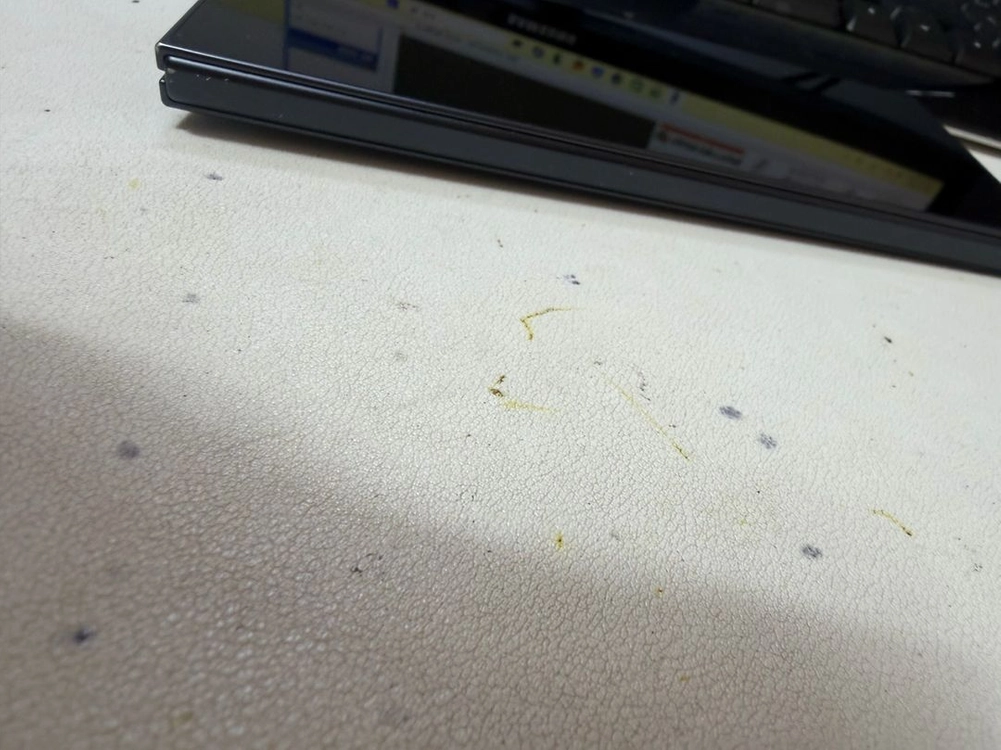폴드7 최초통화일 0000 이미지
