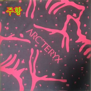 아크테릭스 아이코닉 스켈레톤 손수건 반다나 이미지