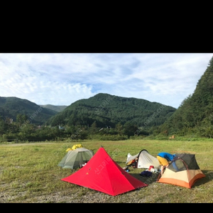 로커스기어 쉘터2p 이너포함 카본브이폴대홀더 이미지