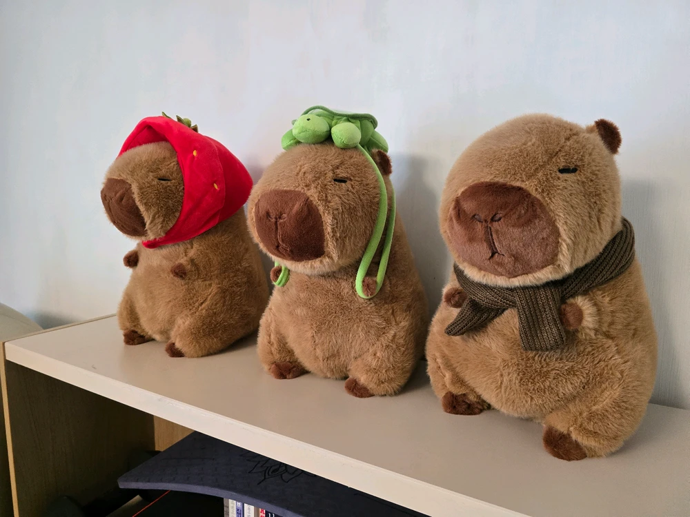 정품 카피바라 인형 3종 일괄 이미지