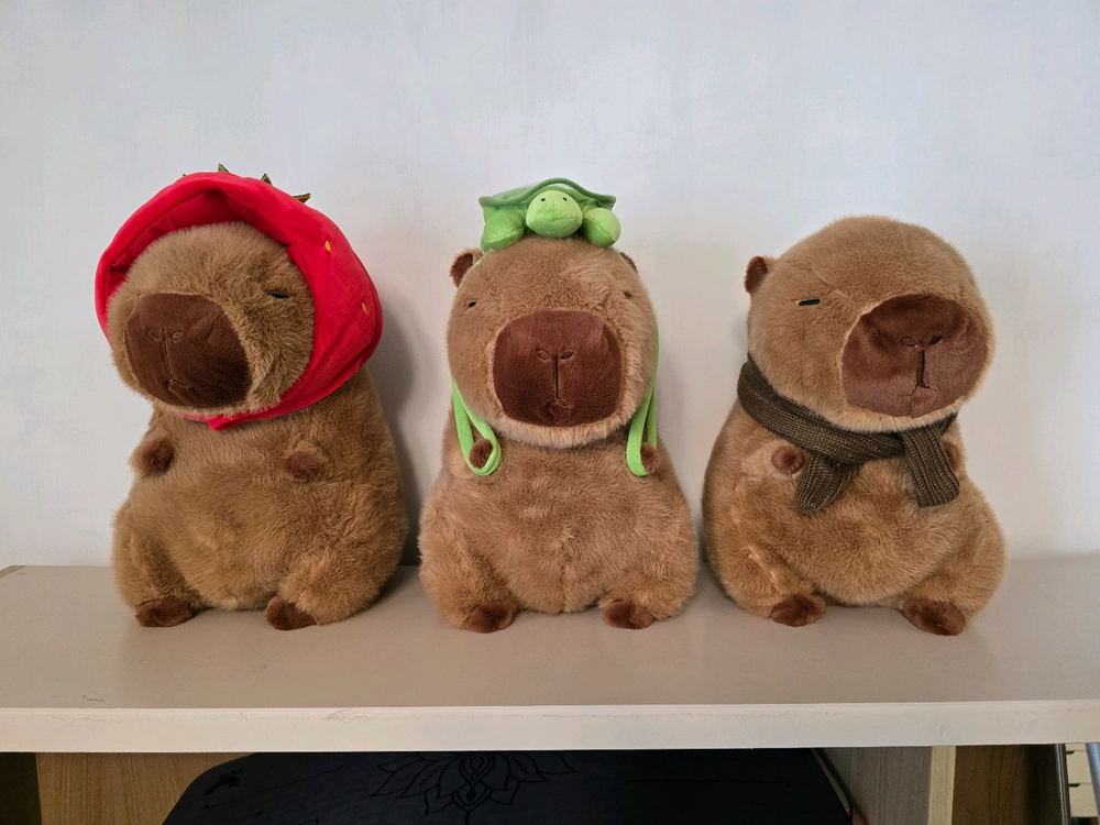 정품 카피바라 인형 3종 일괄 이미지