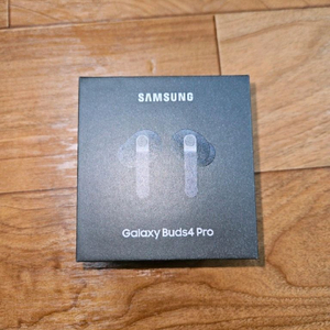 갤럭시 버즈4 프로 블랙(SM-R640) 이미지