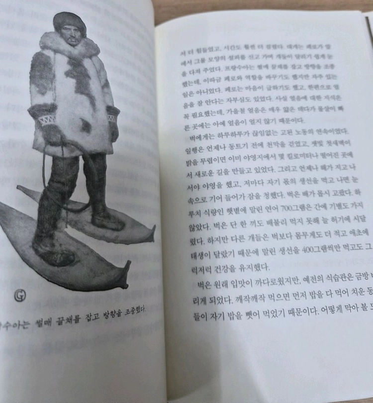 네버랜드 클래식 43권 세트 이미지