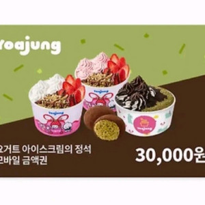 요아정 3만원권 잔액관리형 요거트아이스크림의정석 이미지