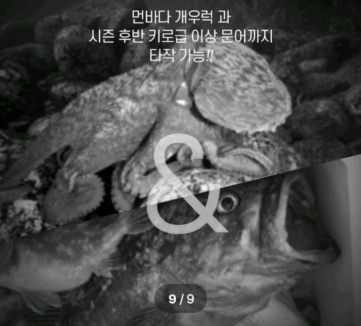 대물문어,우럭,대구지깅루어낚시대 120호대 2대 이미지