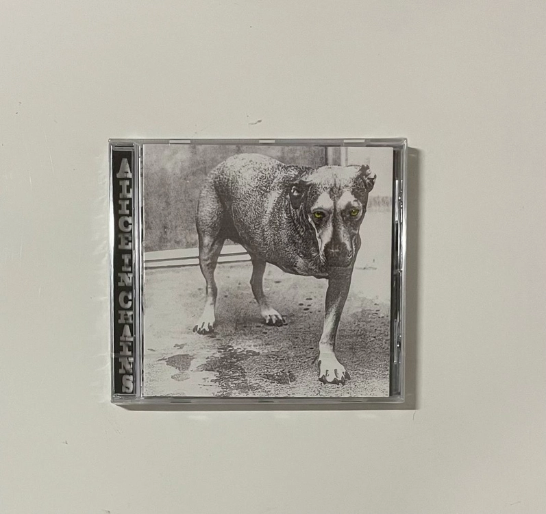 Alice In Chains(앨리스 인 체인스)LP/CD 이미지