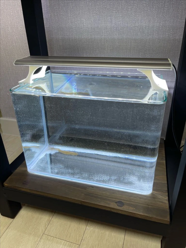 (경기 북부) 미니 40x26x30, 30x19x21 라운드 어항 + 축양장 수조 세트 상태 새제품급 이미지