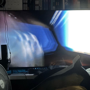 LG 올레드 42C3ENA TV 이미지