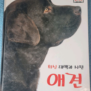 대형사전 이미지