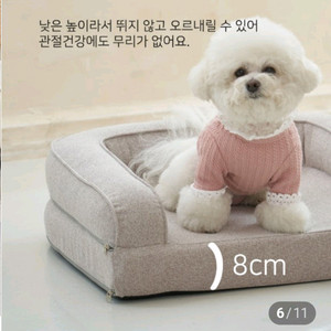 강아지~고양이 침대 3D 에어매쉬 애견 쇼파 이미지