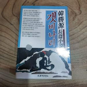 한승원 장편소설 _갯비나리 _1988년.1월.27일.초판 .문학사상사 이미지