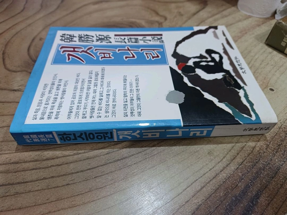 한승원 장편소설 _갯비나리 _1988년.1월.27일.초판 .문학사상사 이미지