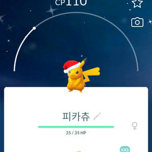 포켓몬고 xss 코스튬 이로치 피카츄 판매합니다 이미지