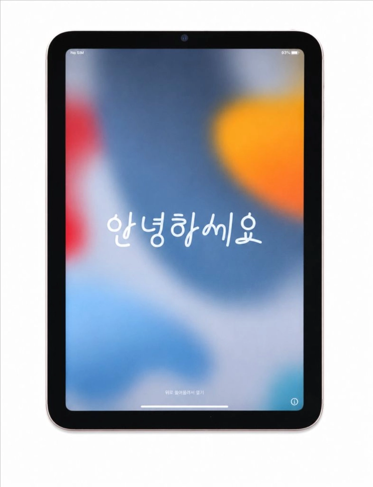 S급 자급재아이패드미니6 셀룰러 256GB 이미지