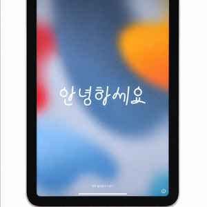 S급 자급재아이패드미니6 셀룰러 256GB 이미지