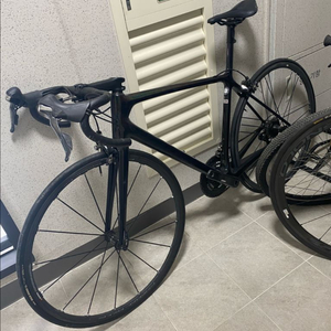 자이언트 tcr sl 이미지