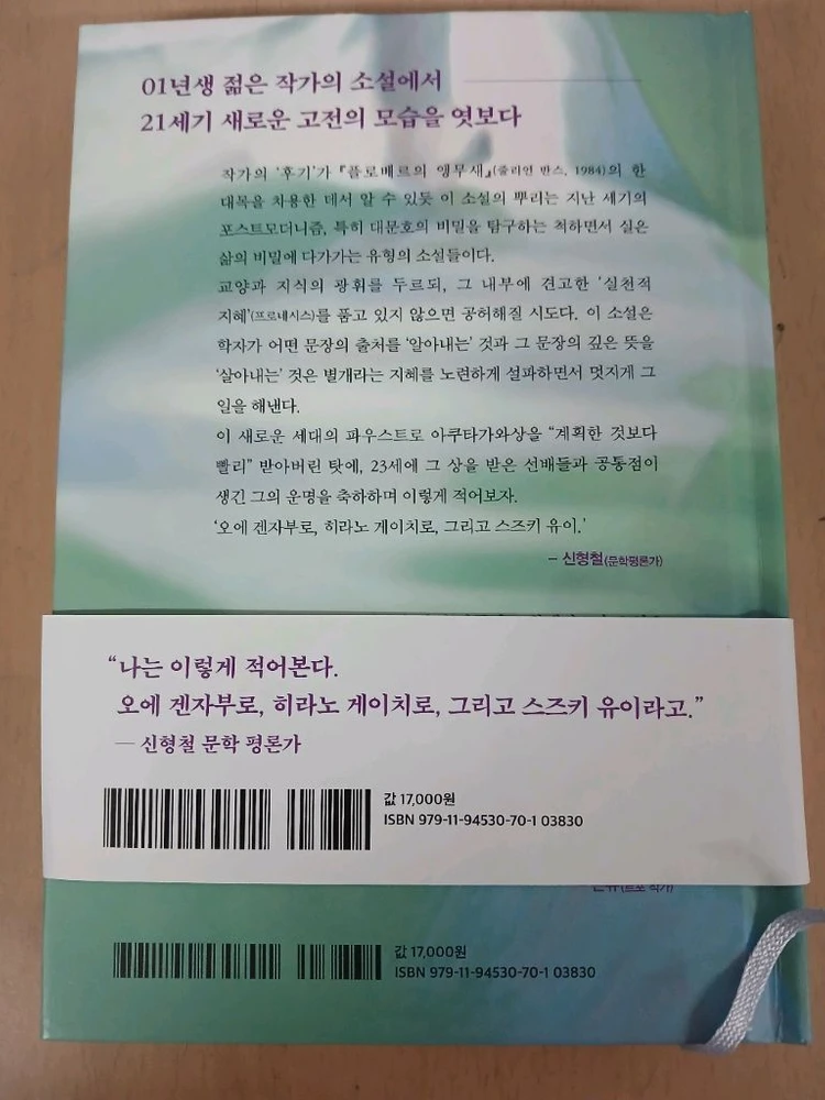 괴테는 모든 것을 말했다. 스즈키 유이, 일본 소설, 아쿠타가와상 수상작품(택배비 별도) 이미지