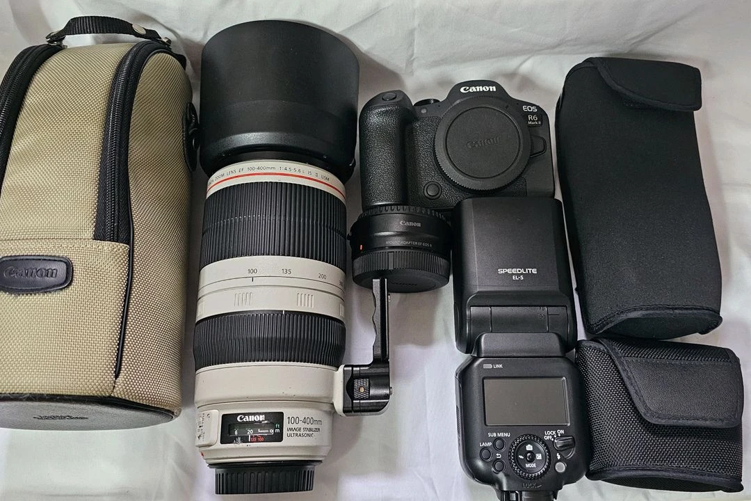 R6M2 + EF 100-400 ii + RF 24-105 F4-7.1 IS SMT + EL-5 스트로보 개별판매 - 안심되는 중고거래