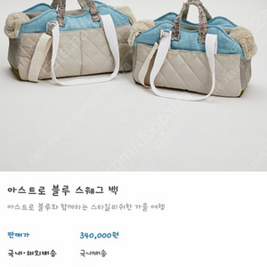 루이독 스웨그백 그랑 사이즈 이미지