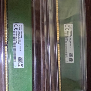 하이닉스 16GB*2 DDR5 5600 (32GB) 메모리 이미지