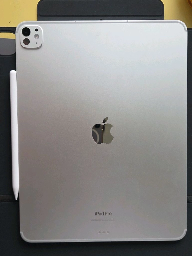 아이패드 프로 13인치 m4 1테라 램16GB 셀룰러 이미지