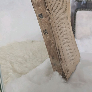 마지막 개인소장본!! 춘원 이광수 무정 초기 발행본 이미지