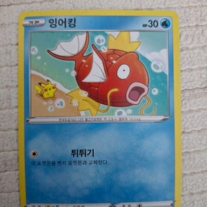 포켓몬 카드 잉어킹 이미지