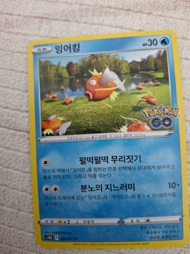 포켓몬 카드 잉어킹 이미지