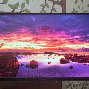 LG 32인치 4K 32UN650 모니터 이미지