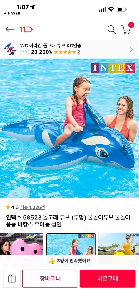 돌고래 튜브 이미지