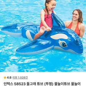돌고래 튜브 이미지