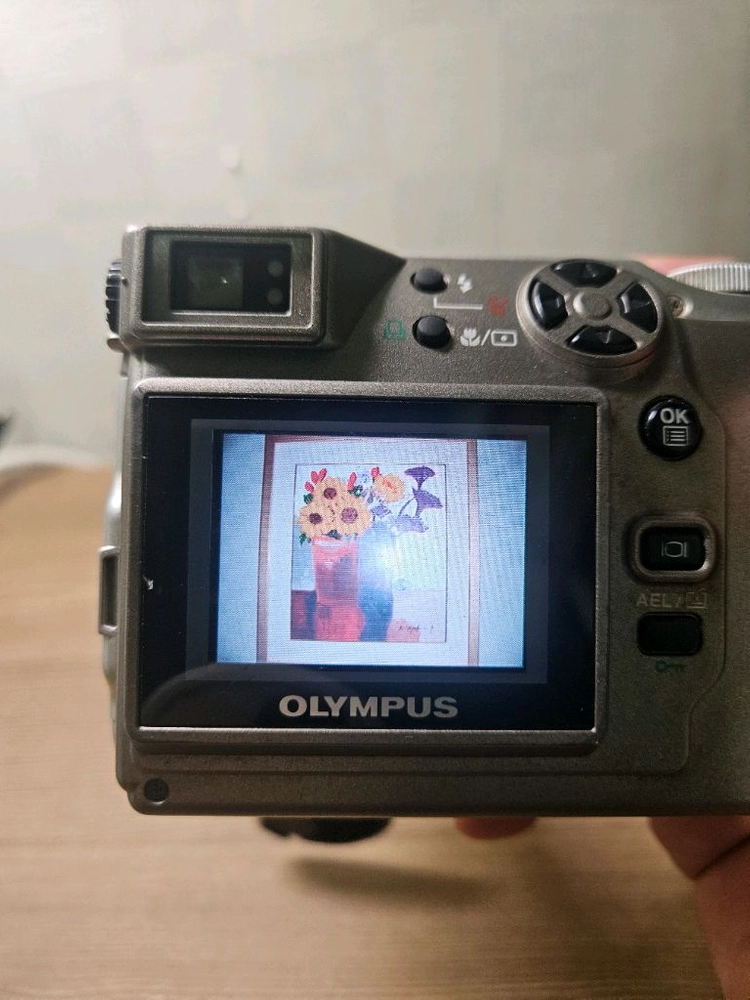 올림푸스 컴팩트 디지털카메라 이미지