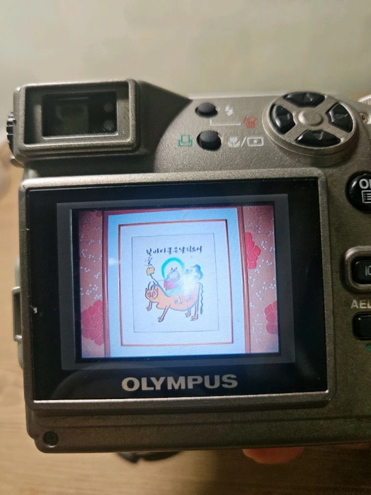 올림푸스 컴팩트 디지털카메라 이미지