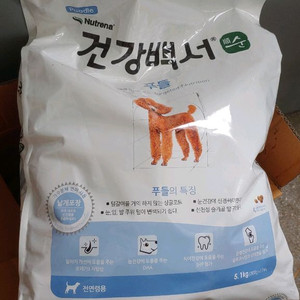 새것 건강백서 순 푸들 이미지