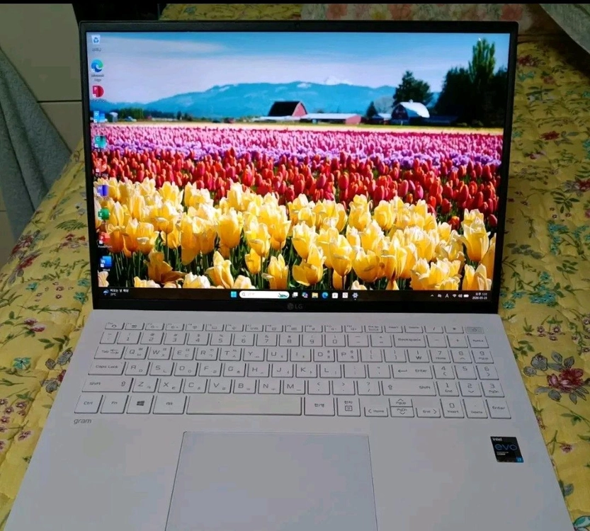 lg 초경량 슬림/고사양 노트북 이미지