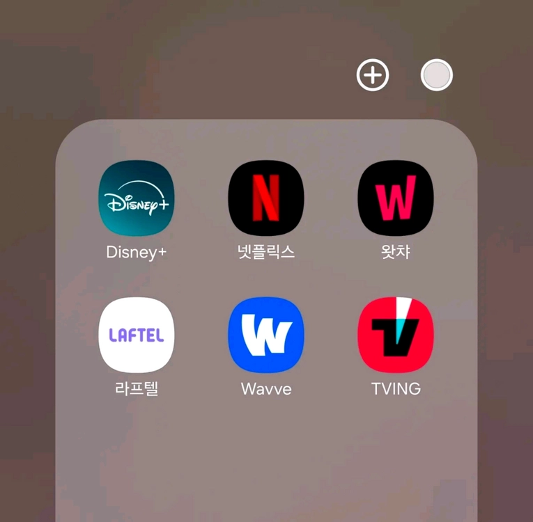 하루 대여) 넷플릭스 티빙 웨이브 디즈니플러스 라프텔 이미지