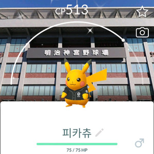 포켓몬고 로케이션 배경 이로치 피카츄 이미지